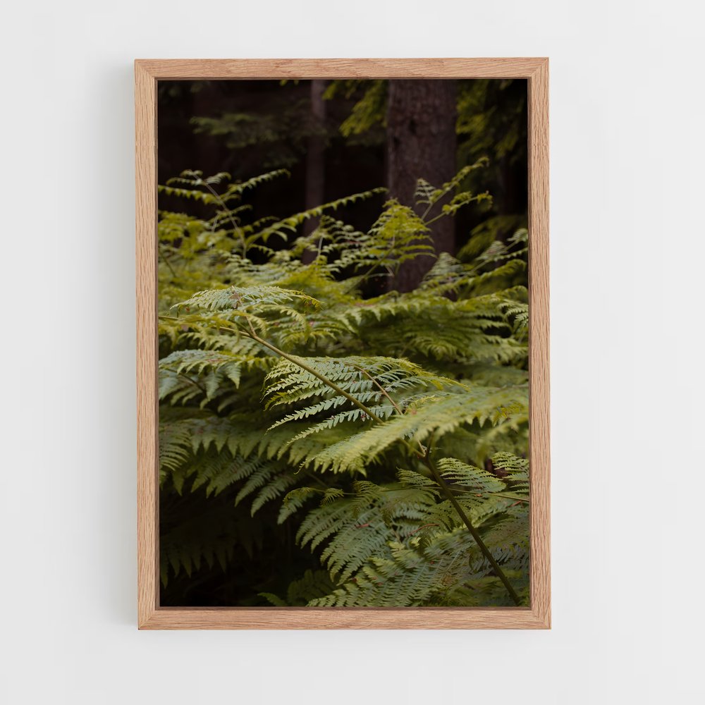 ap-bracken fern-1 cadre Bois clair