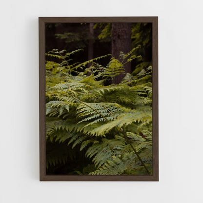 ap-bracken fern-1 cadre Bois foncé