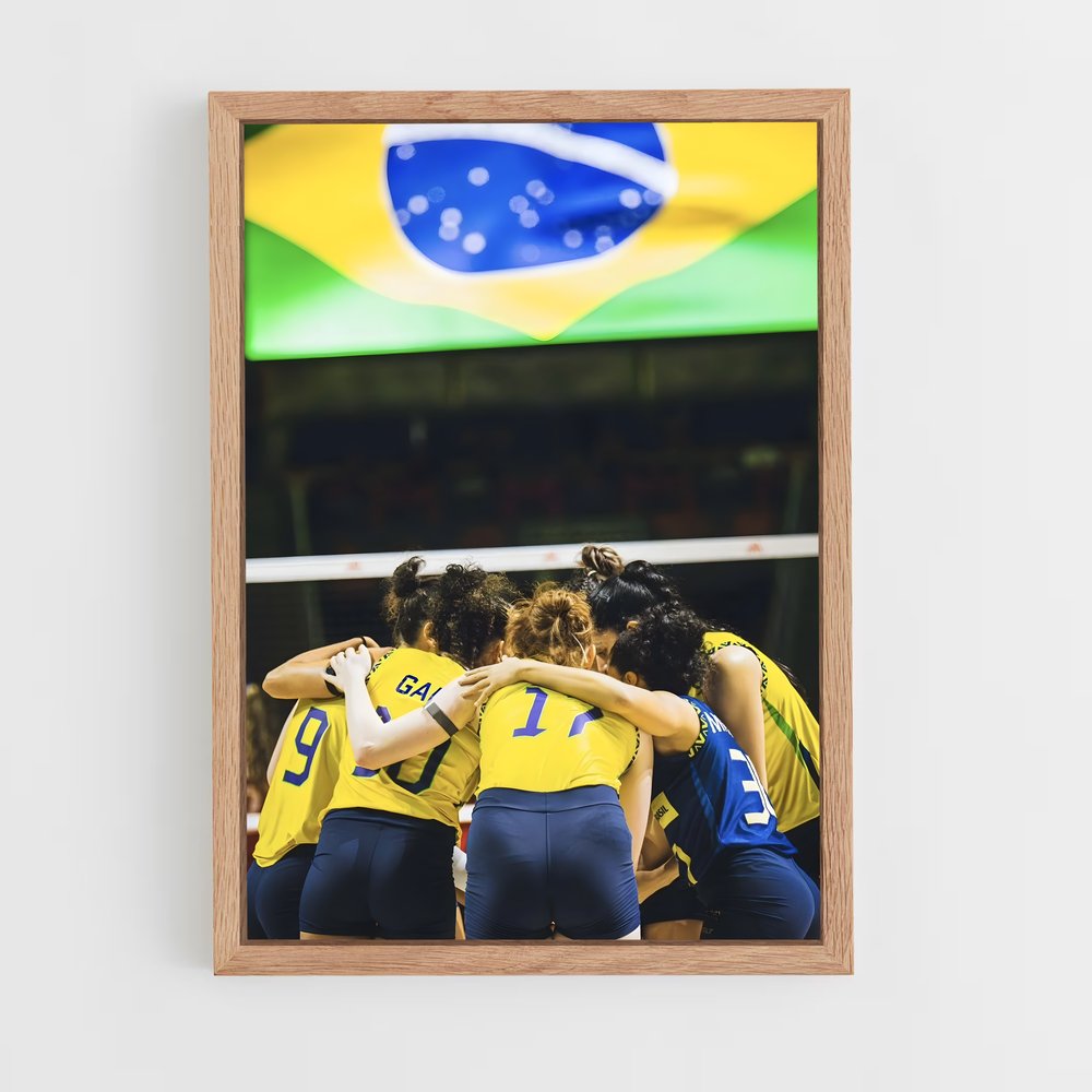 ap-brazil national beach volleyball team-3 cadre Bois clair