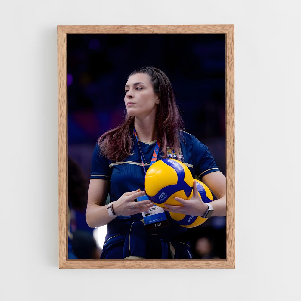 ap-brazil national volleyball team-5 cadre Bois clair