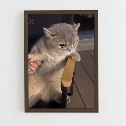 ap-british shorthair-2 cadre Bois foncé