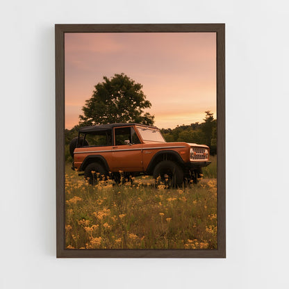 ap-bronco-6 cadre Bois foncé