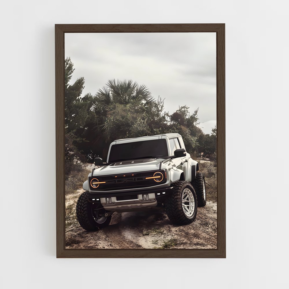 ap-bronco raptor-3 cadre Bois foncé