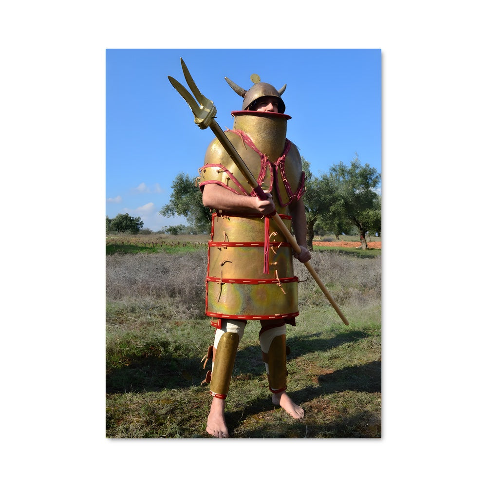Poster Le Chevalier de l'Âge de Bronze