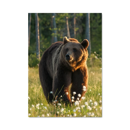 Poster Ours en Fleurs