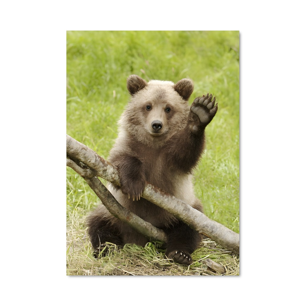 Poster Ourson Joyeux