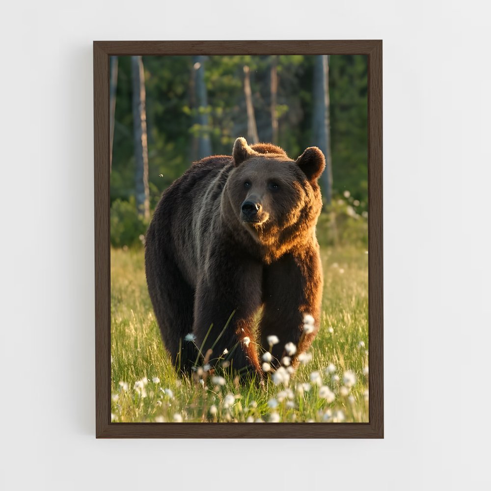 ap-brown bear-1 cadre Bois foncé