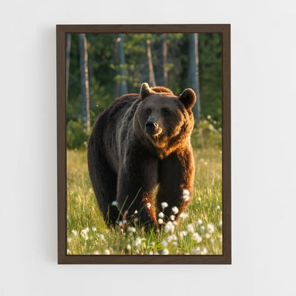 ap-brown bear-1 cadre Bois foncé