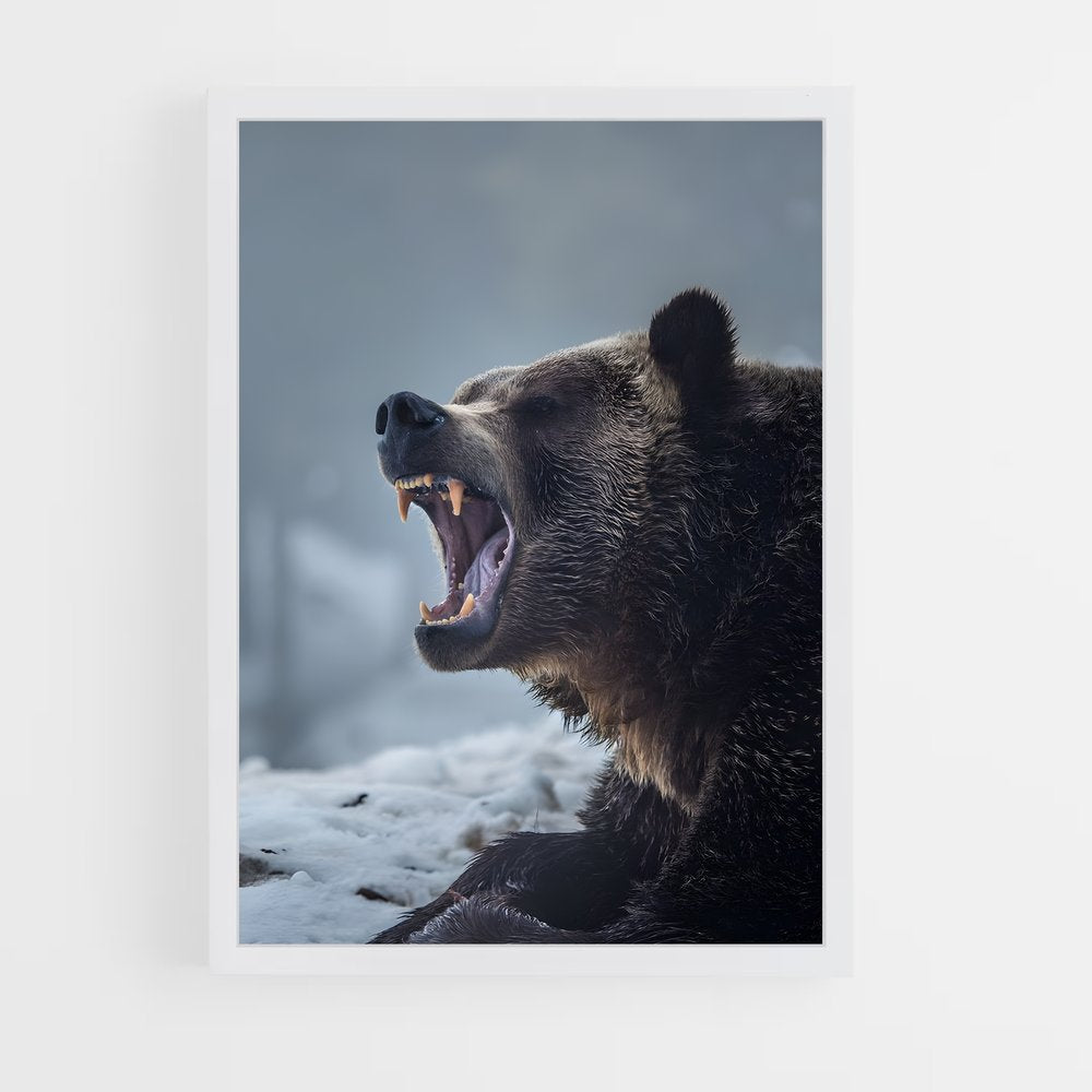 ap-brown bear-2 cadre Blanc