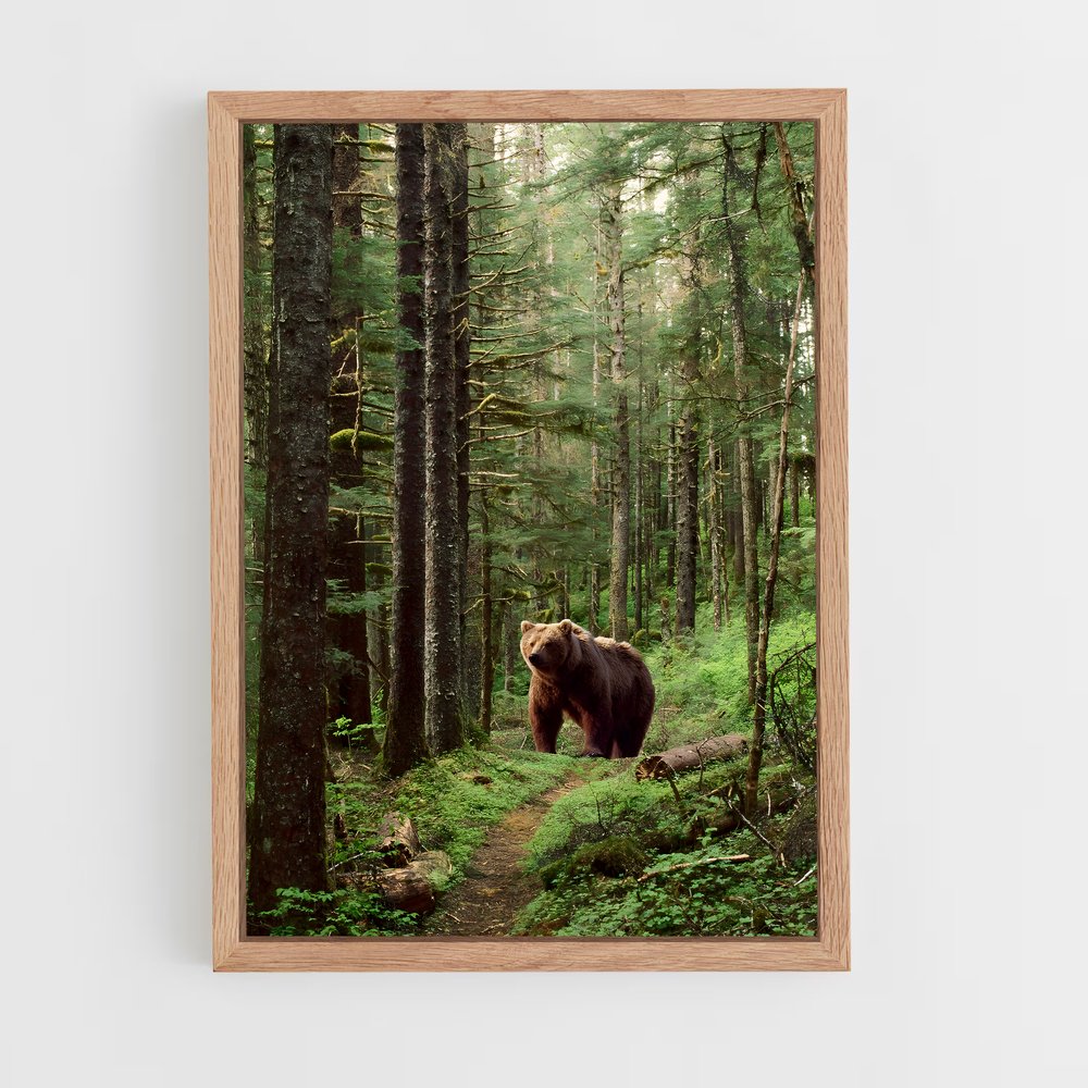ap-brown bear-6 cadre Bois clair