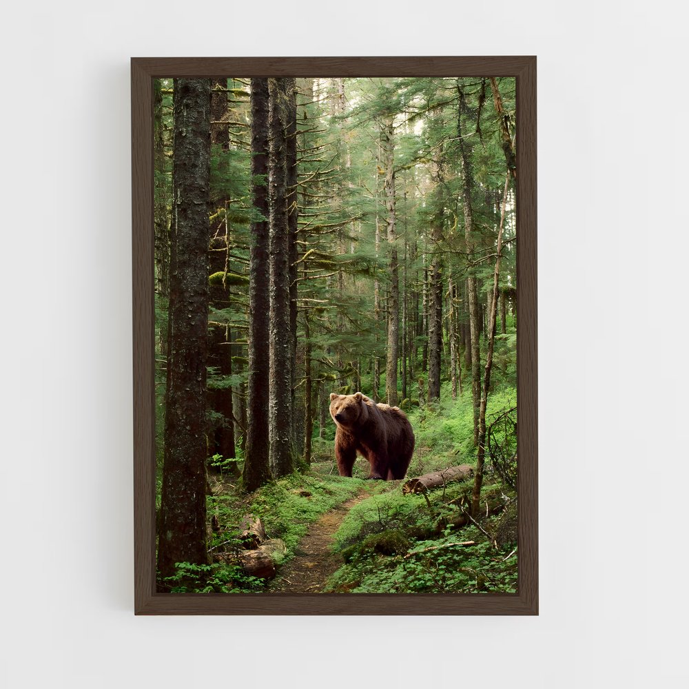 ap-brown bear-6 cadre Bois foncé