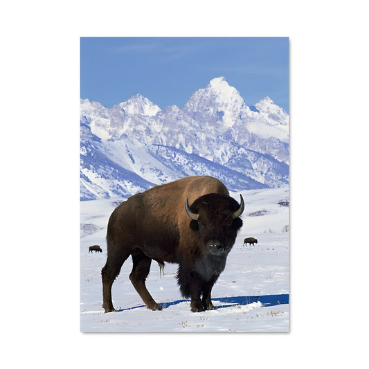 Poster La Force des Montagnes