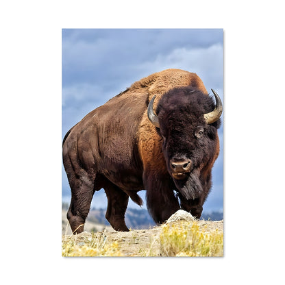Poster L'Esprit des Prairies