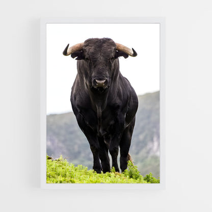 ap-bull-3 cadre Blanc