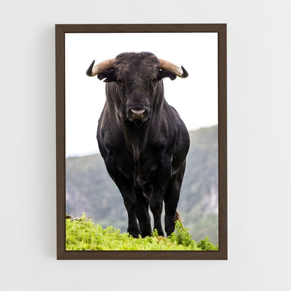 ap-bull-3 cadre Bois foncé