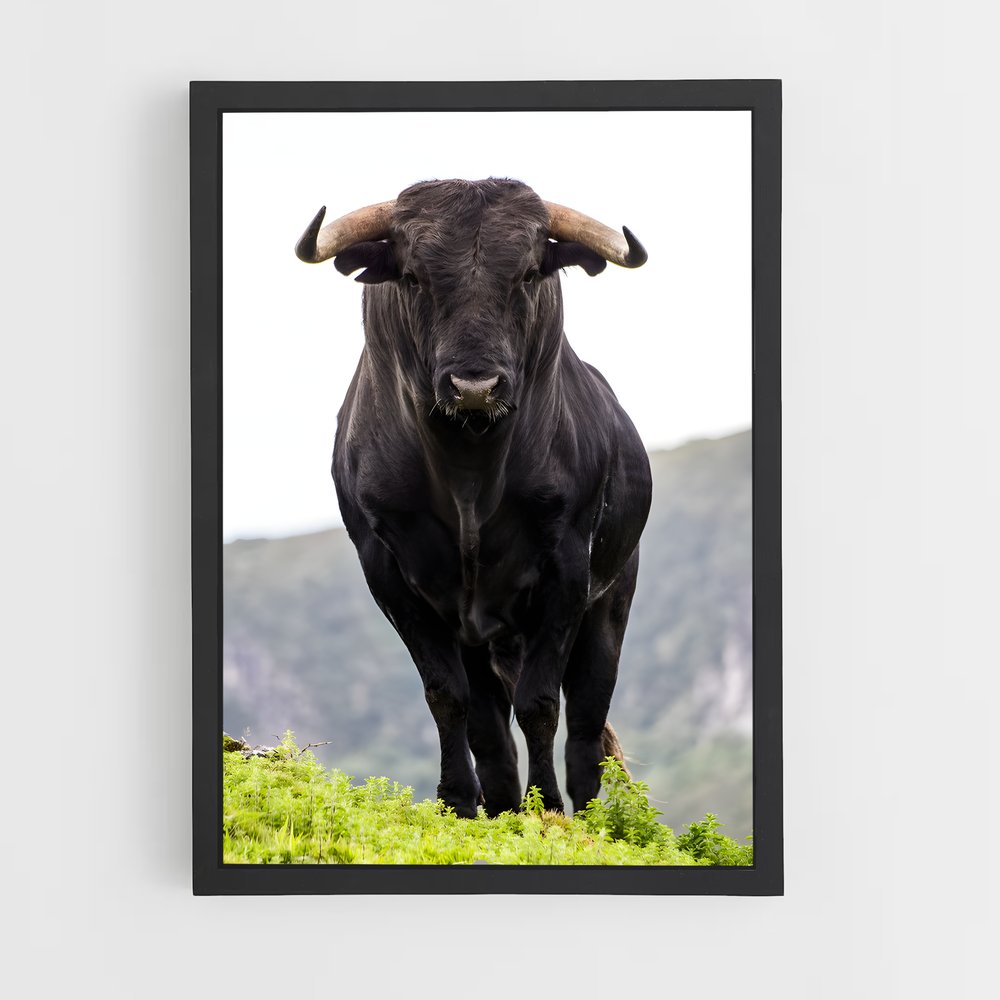 ap-bull-3 cadre Noir