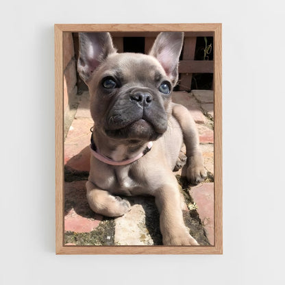 ap-bulldog-2 cadre Bois clair