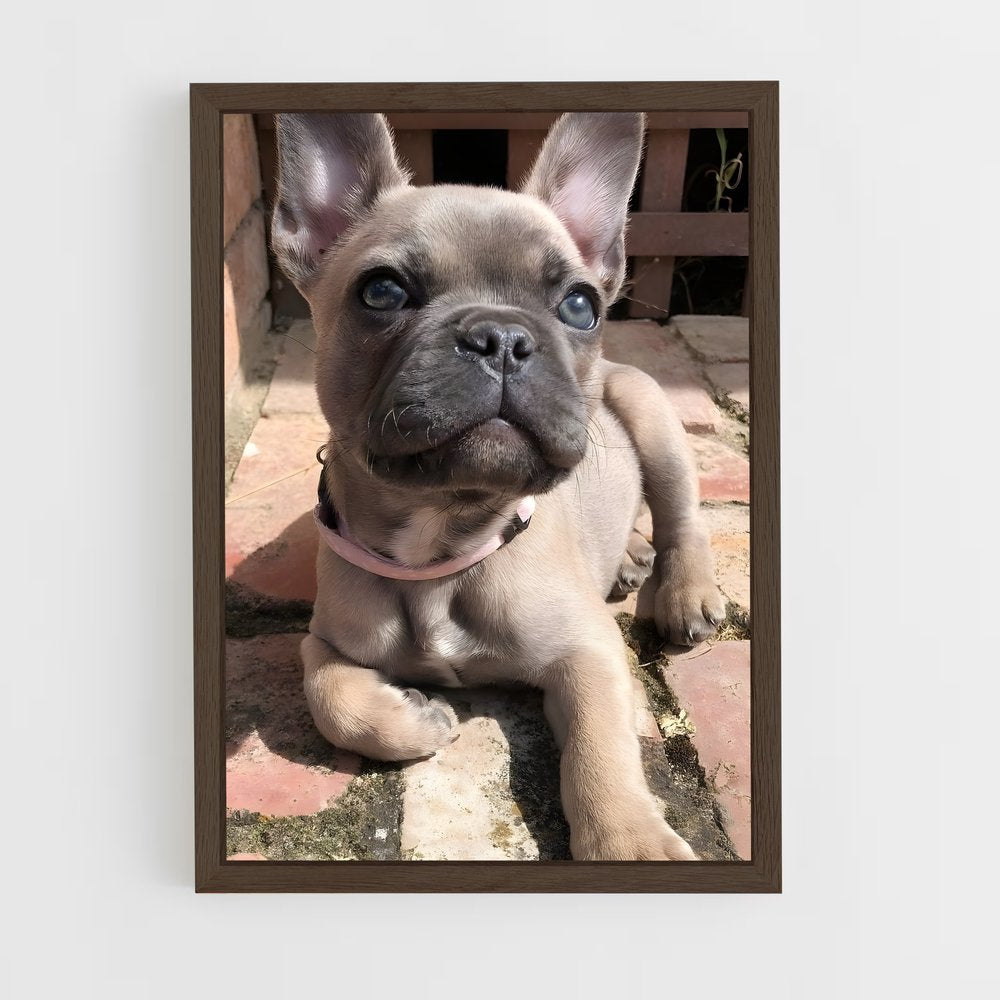 ap-bulldog-2 cadre Bois foncé