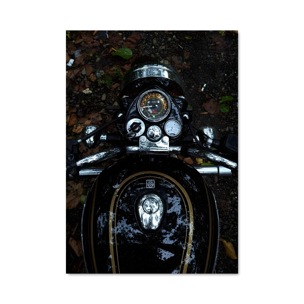 Poster Road Trip Rebel