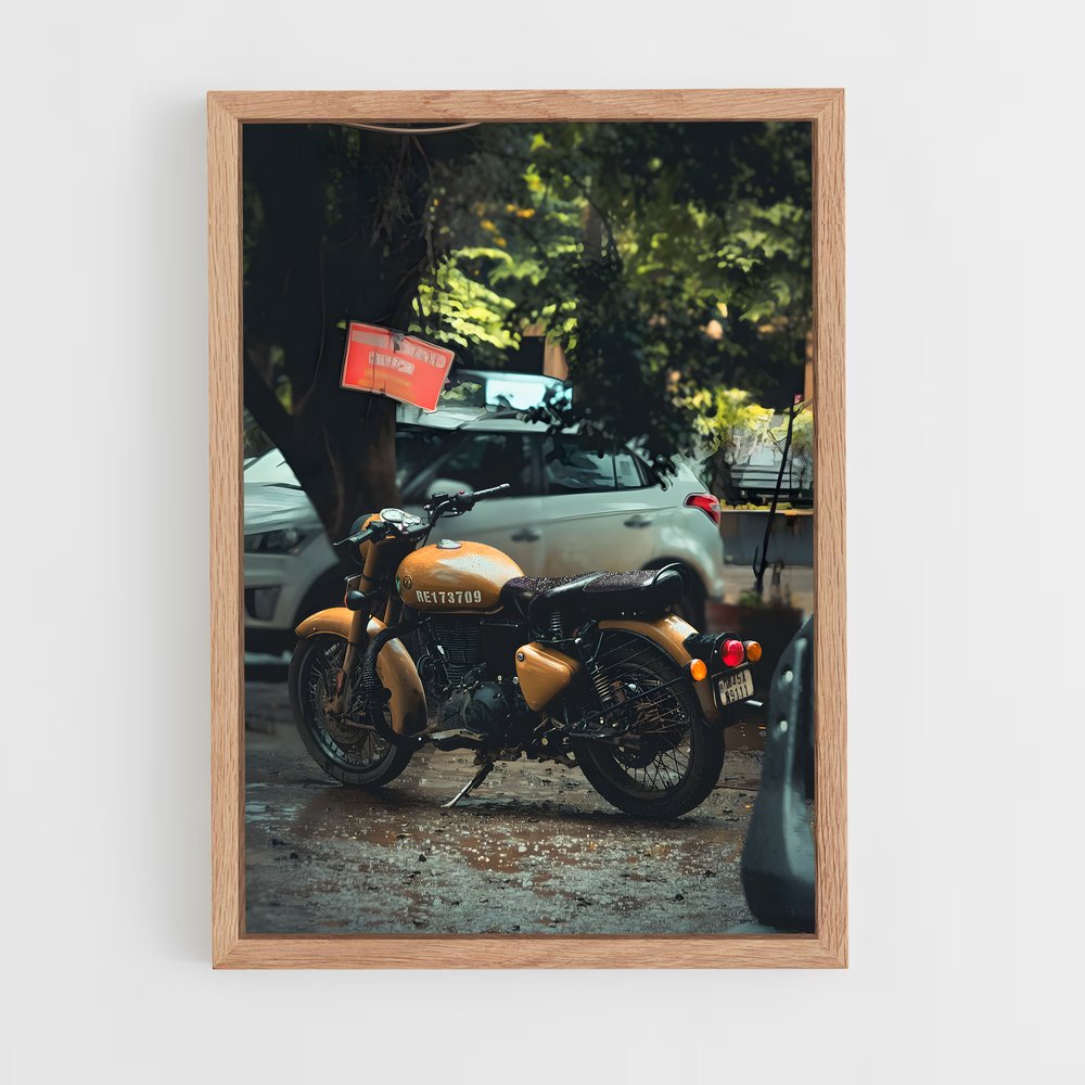 ap-bullet 350-12 cadre Bois clair