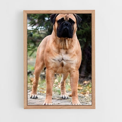 ap-bullmastiff-1 cadre Bois clair