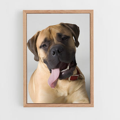 ap-bullmastiff-3 cadre Bois clair