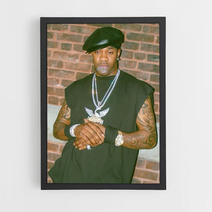 ap-busta rhymes-2 cadre Noir