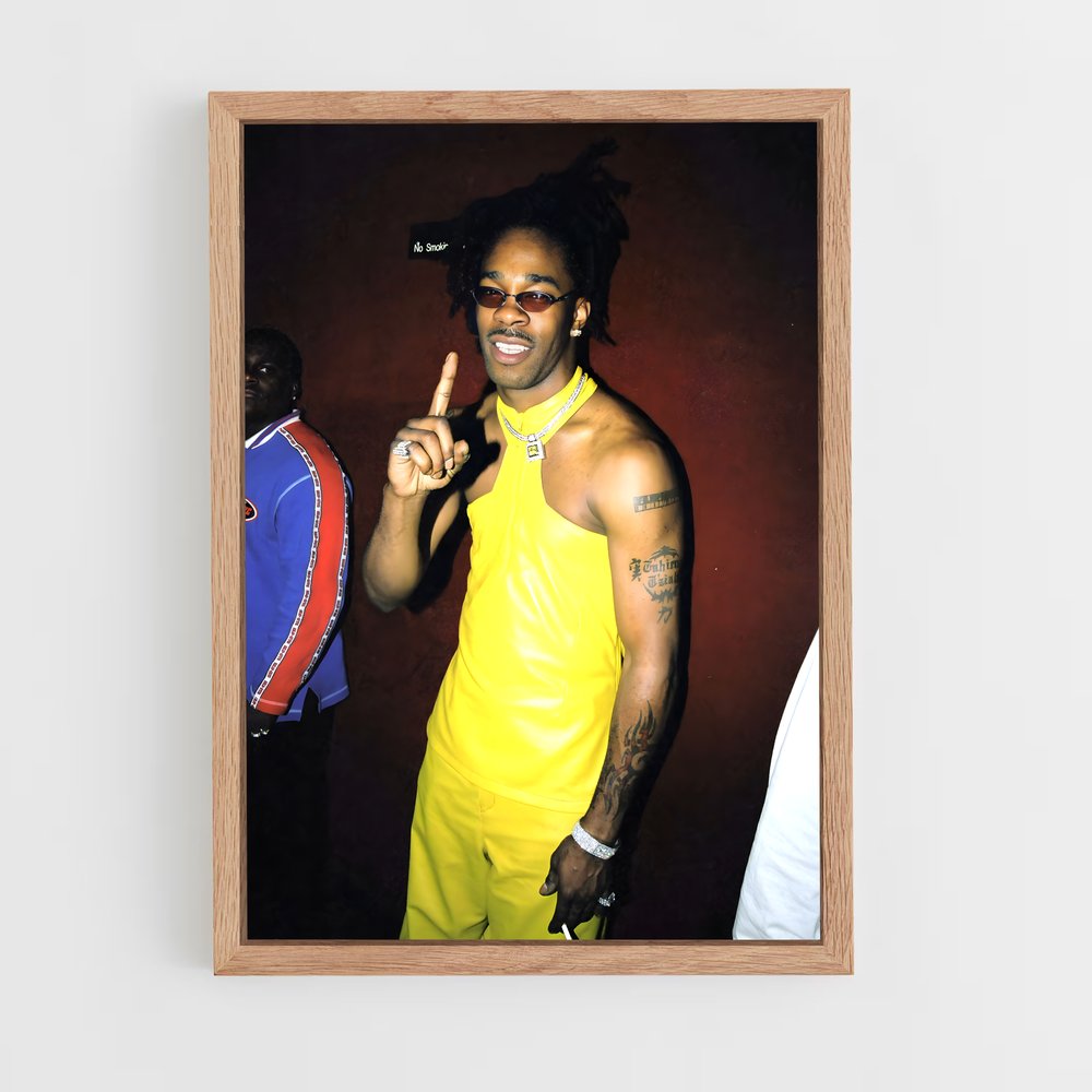 ap-busta rhymes-5 cadre Bois clair