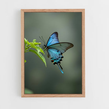 ap-butterfly-13 cadre Bois clair