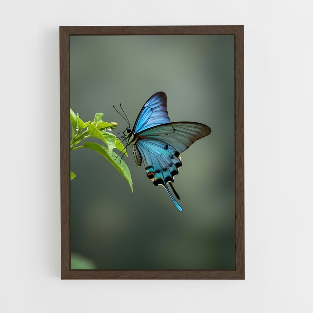 ap-butterfly-13 cadre Bois foncé