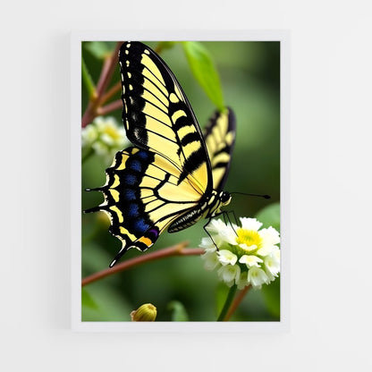 ap-butterfly-14 cadre Blanc