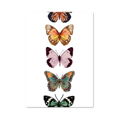 Poster Butterfly 83247