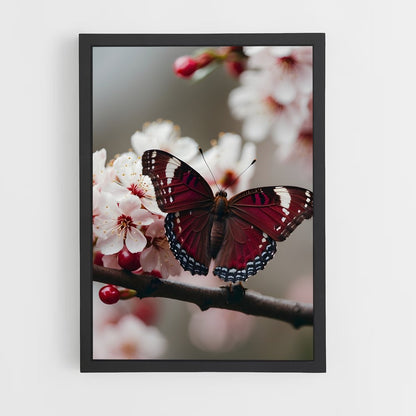 ap-butterfly-2 cadre Noir