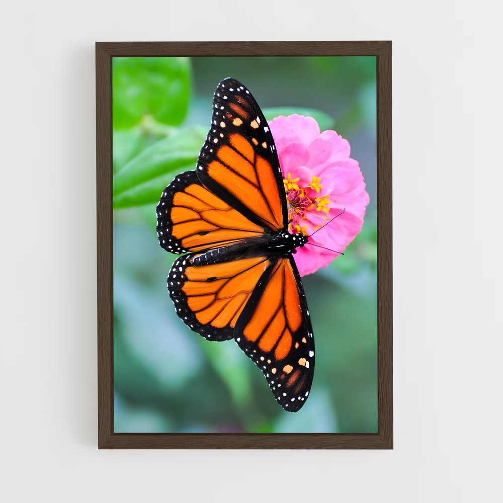 ap-butterfly-4 cadre Bois foncé