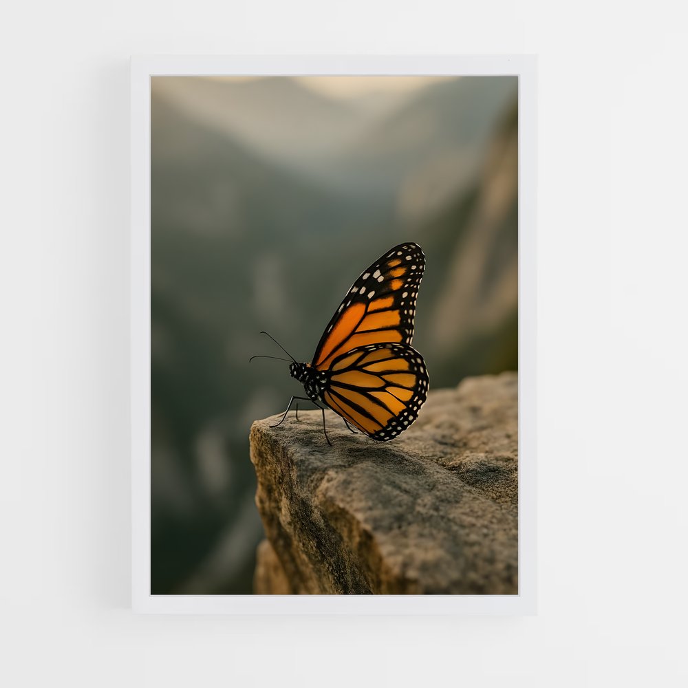 ap-butterfly-5 cadre Blanc
