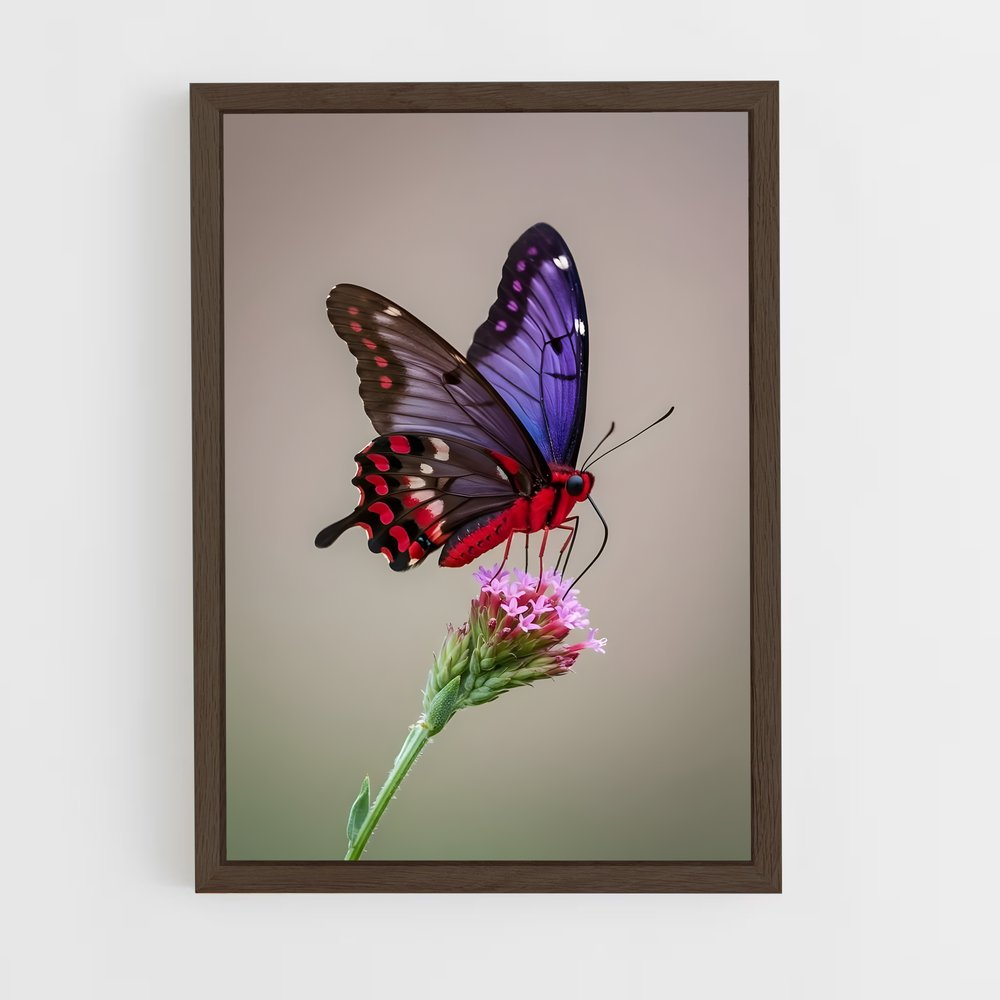 ap-butterfly-6 cadre Bois foncé