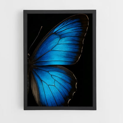 ap-butterfly-7 cadre Noir