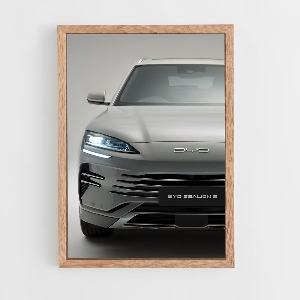 ap-byd-3 cadre Bois clair