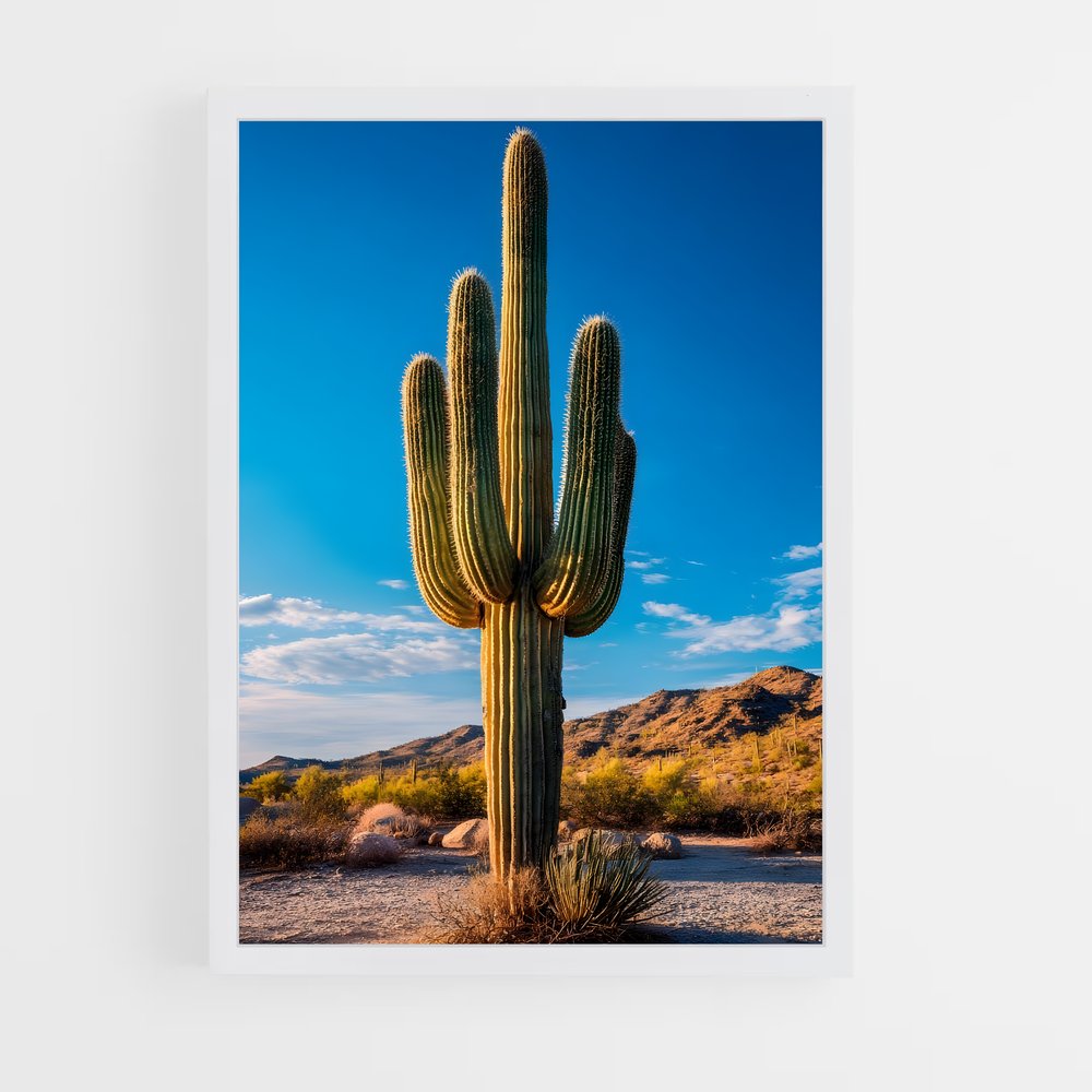 ap-cactus-1 cadre Blanc