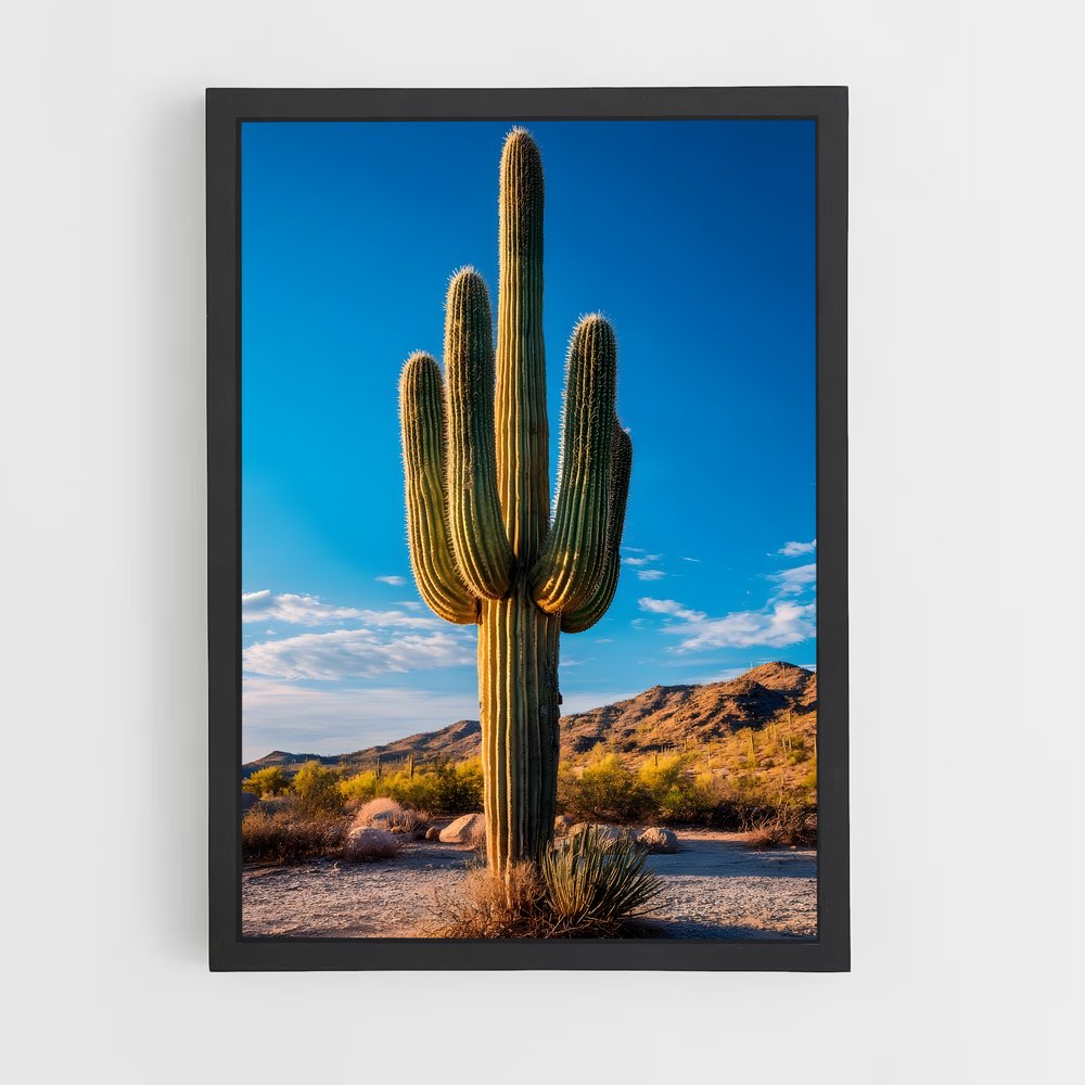 ap-cactus-1 cadre Noir