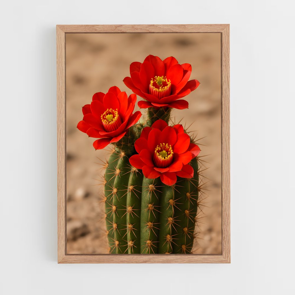 ap-cactus-2 cadre Bois clair