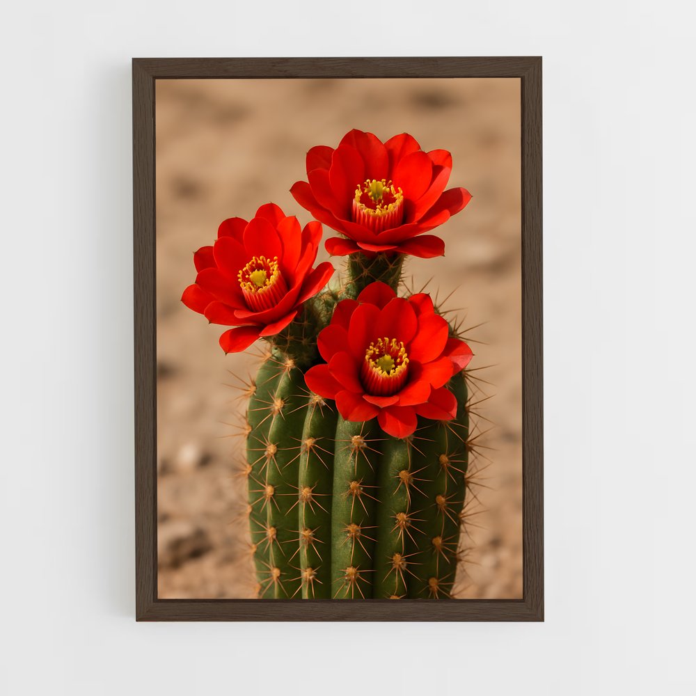 ap-cactus-2 cadre Bois foncé