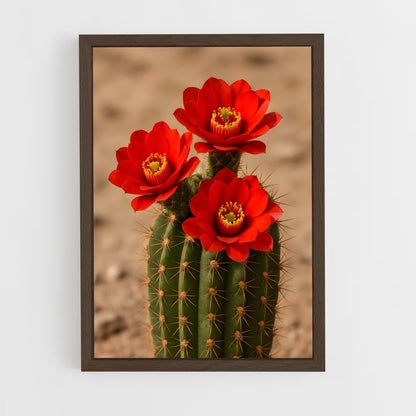 ap-cactus-2 cadre Bois foncé