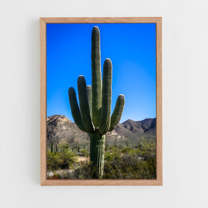 ap-cactus-3 cadre Bois clair