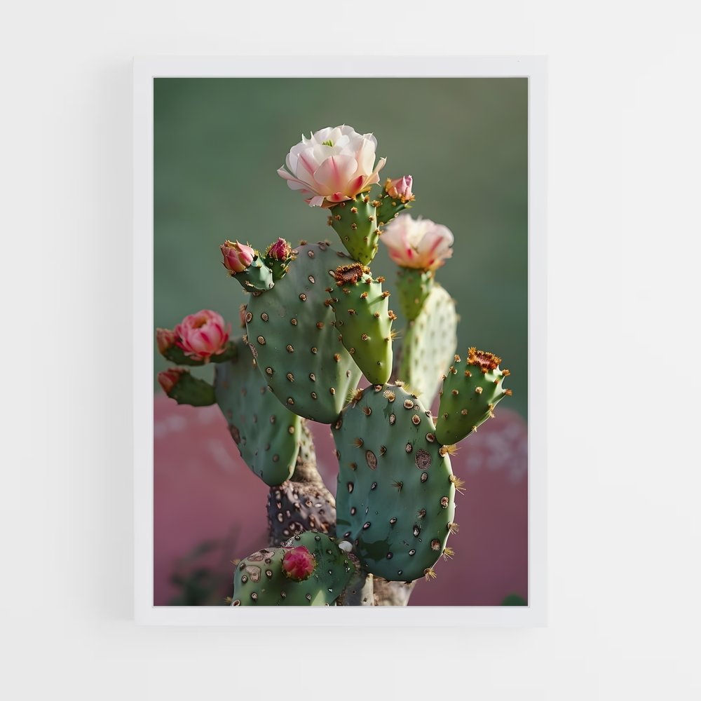 ap-cactus-4 cadre Blanc
