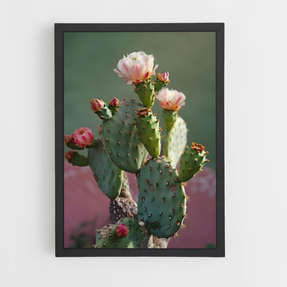 ap-cactus-4 cadre Noir