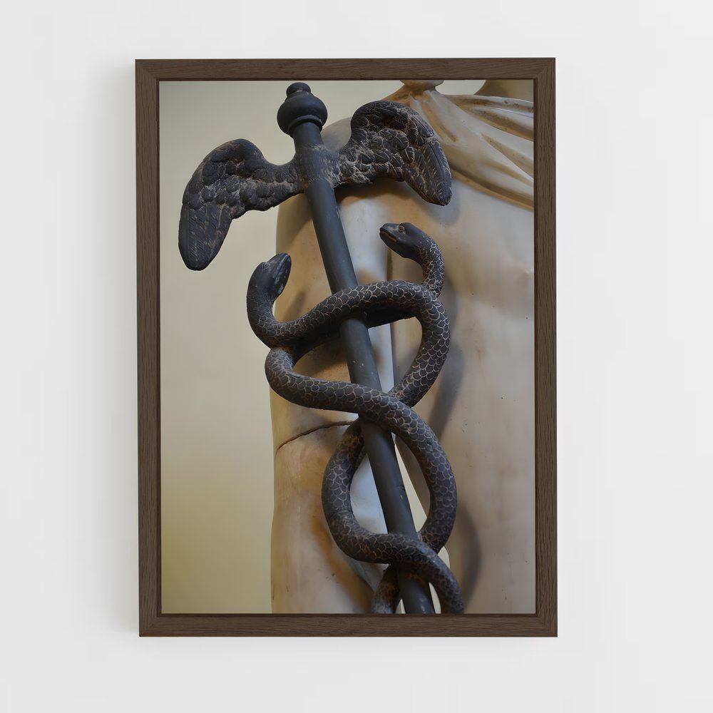 ap-caduceus-3 cadre Bois foncé