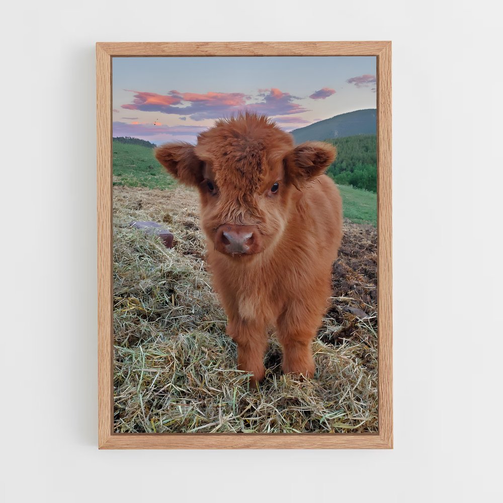ap-calf-1 cadre Bois clair