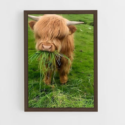 ap-calf-2 cadre Bois foncé