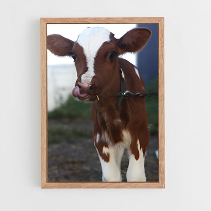 ap-calf-6 cadre Bois clair